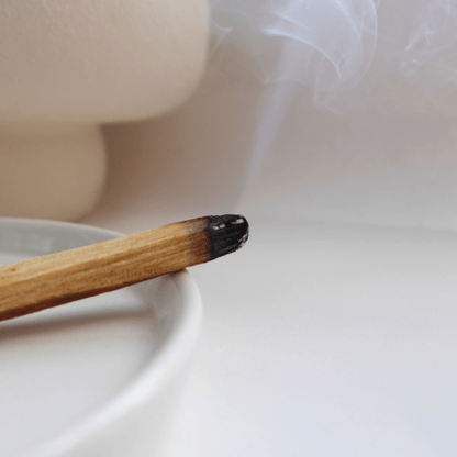 Incense stick with smoke next to a white ceramic bowl on a light background