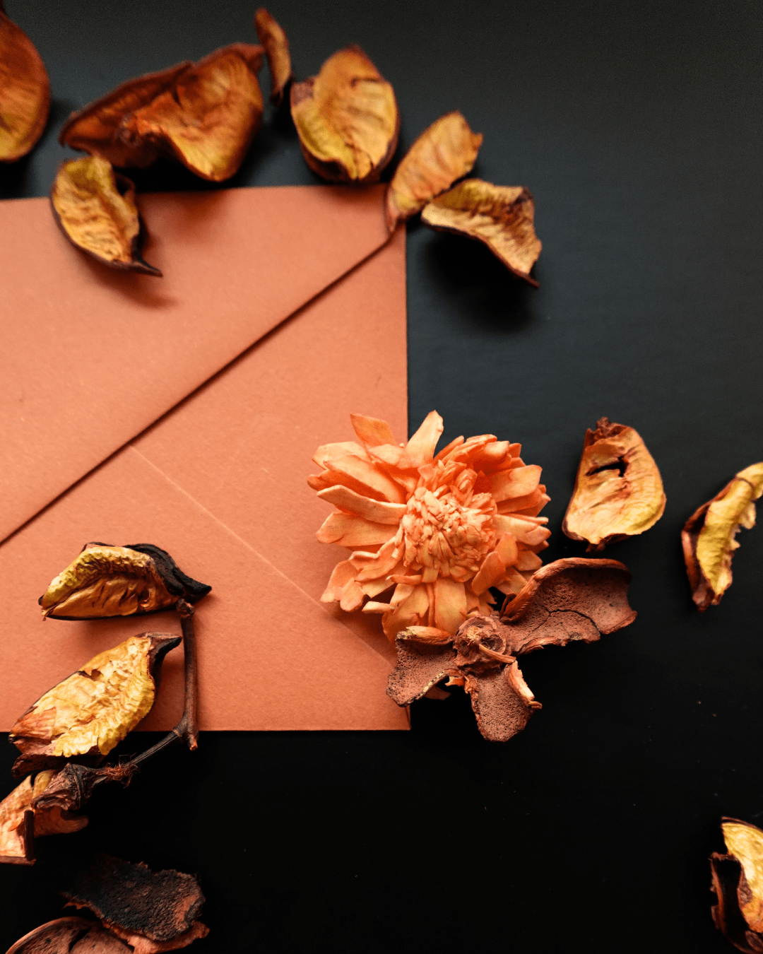 The Autumn Glimpse