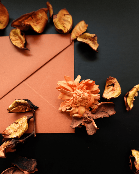 The Autumn Glimpse